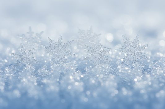 Winter Barrier Repair: The LOCA Guide to Keeping Your Skin Strong in Cold Weather